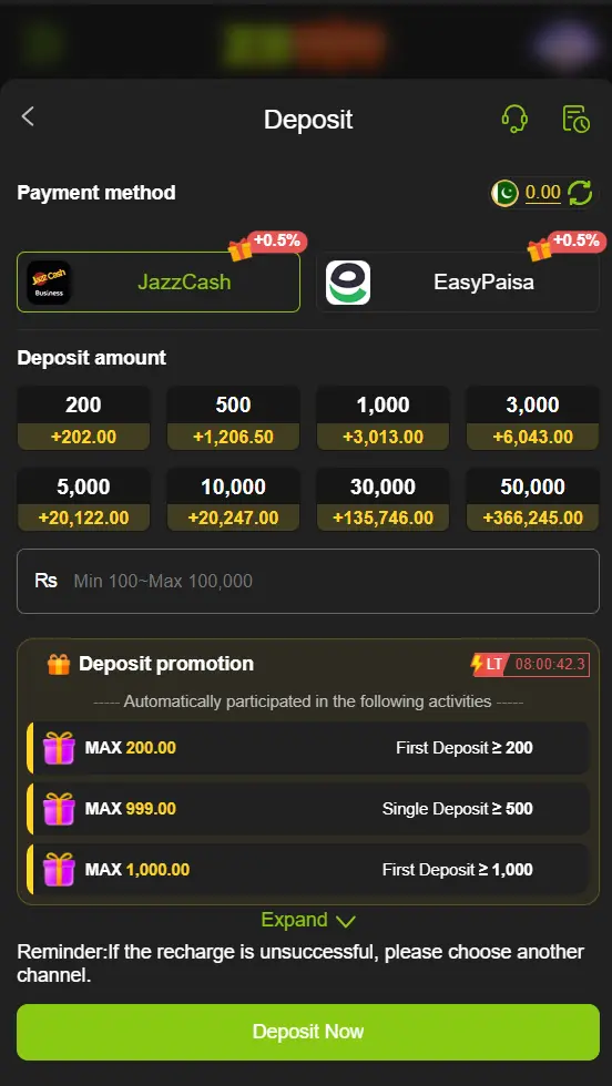ZS999 Game deposit screen illustrating available payment options including bank transfer and mobile wallet methods